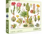 Cacti - Cactus