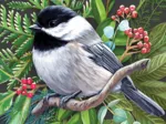 Pièces XXL - Black-capped Chickadee