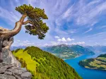 Vue du Lac d'Uri, Suisse