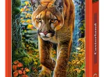Lion des Montagnes dans la Forêt