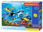 Tropical Underwater World