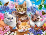 Chats avec Fleurs