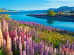 Lac Tekapo, Nouvelle-Zélande