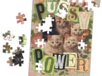 Pussy Power