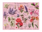 Langage des Fleurs - Puzzle 1000 pièces
