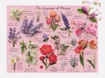 Langage des Fleurs - Puzzle 1000 pièces