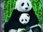 La Famille Panda