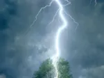 Foudre frappant un arbre