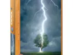 Foudre frappant un arbre