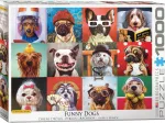 Funny Dogs