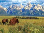 Parc National Grand Teton