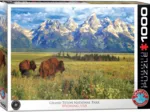 Parc National Grand Teton