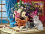 Chats Curieux