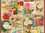 Catalogue de Graines de Roses