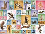 Yoga Cats