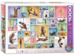 Yoga Cats
