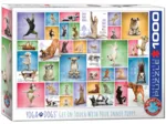 Yoga Dogs