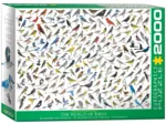 Le Monde des Oiseaux, par David Sibley
