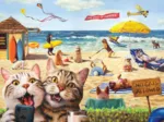 Pièces XXL - Interdit aux chats