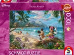 Mickey et Minnie sur Hawaii