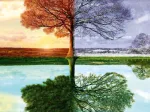 Arbre des 4 Saisons
