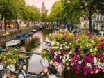 Fleurs À Amsterdam