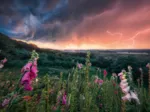 Une Tempête se Prépare