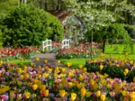 Jardins de Keukenhof, Pays-Bas
