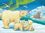 2 Puzzles -  Bébé Animaux du Monde Entier