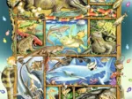 Pièces XXL - Reptiles sur l'Étagère
