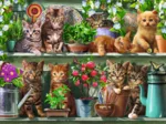 Des Chats sur l'Etagère