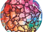 Circle of Colors - Coquillage