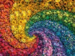 Colorboom - Tourbillon de Fleurs