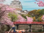 Château De Himeji