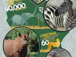 National Geo Kids - Wildlife Expedition