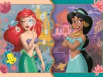 2 Puzzles - Disney Princess