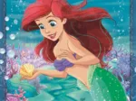 3 Puzzles - Princesse