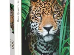Jaguar dans la Jungle