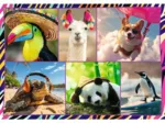 4 Puzzles - Animaux Drôles