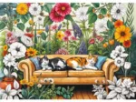 L’Orangerie du Chat